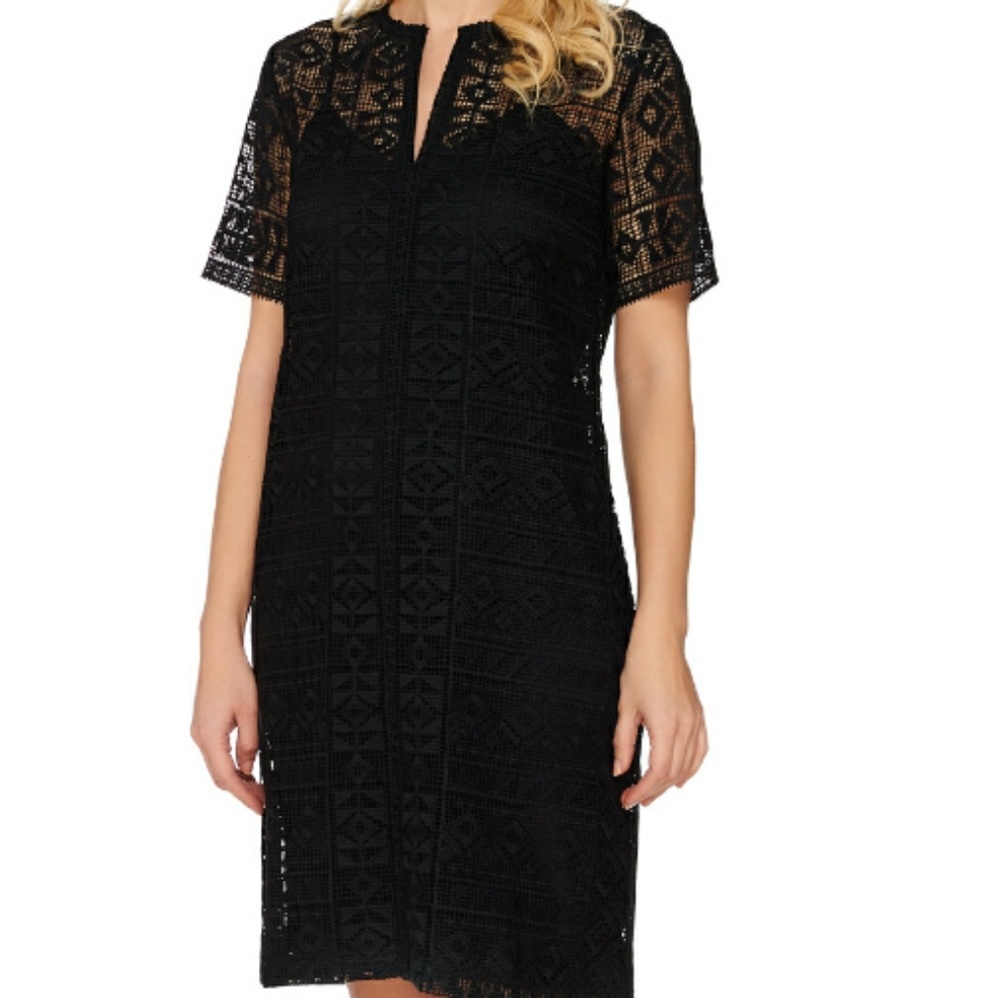 C.Wonder Lace split neck short sleeve dress with l